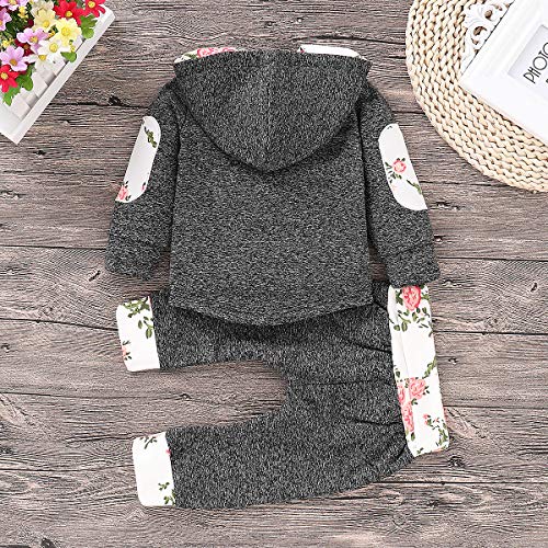 Borlai Baby Boy Girl Sudadera con Capucha Pantalones y Tops Conjuntos de Ropa Conjuntos de Regalos de Sudadera Encantadora de Moda, 2 Piezas, Gris, 0-3 Meses