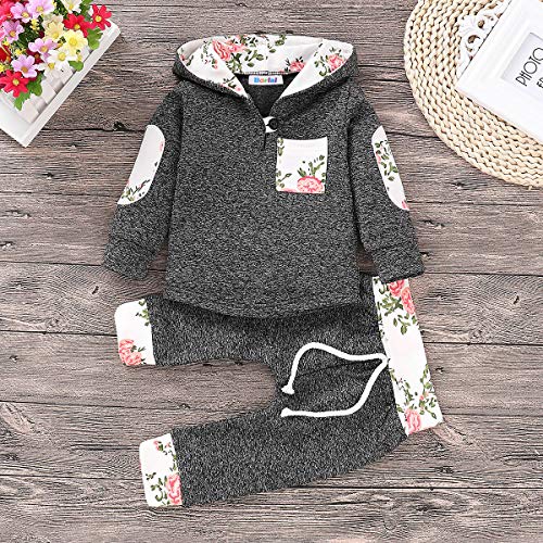 Borlai Baby Boy Girl Sudadera con Capucha Pantalones y Tops Conjuntos de Ropa Conjuntos de Regalos de Sudadera Encantadora de Moda, 2 Piezas, Gris, 0-3 Meses