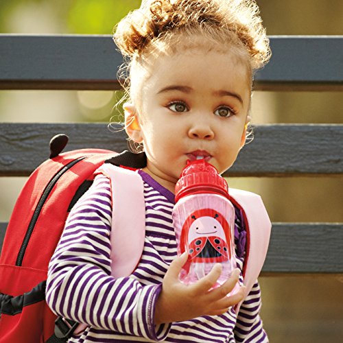 Botella con pajita Skip Hop Zoo rosa mariquita