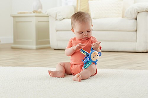 Fisher-Price - Cbh87 - Rattle - Pequeño Mono - Libros XL