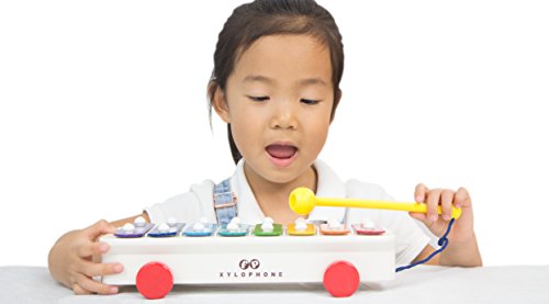 Fisher-Price Classics Pull a Tune - Xilófono de Juguete