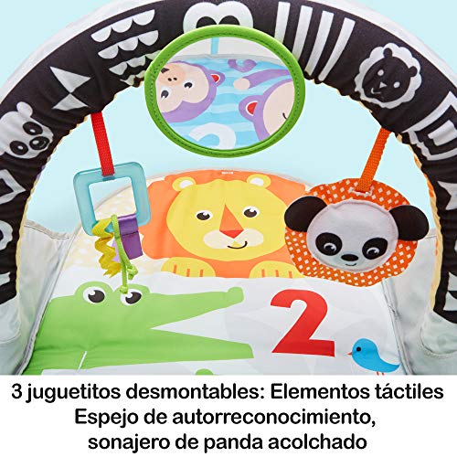 Fisher-Price Gimnasio Activity 2 en 1, Manta de Juego para Bebé (Mattel FXC14)