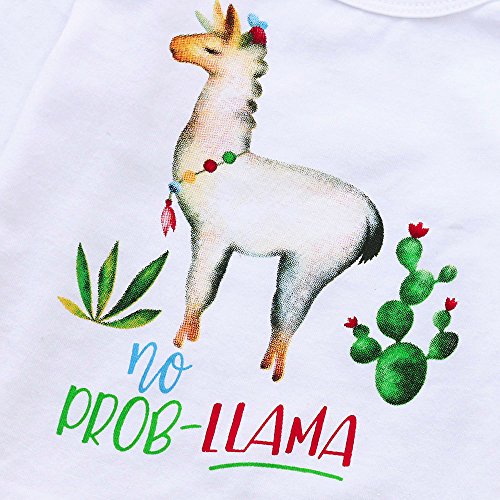 Fossen Ropa Bebe Niña Niño Invierno Otoño Recién Nacido Monos de Manga Larga Camiseta de Dinosaurio Caballo del Arco Iris + Pantalones + Sombrero + Cintas de Pelo (0-6 Meses, Alpaca)