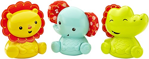 Infant Fisher-Price - Animalito balanceo, 25 x 14 cm (Mattel CDN54)