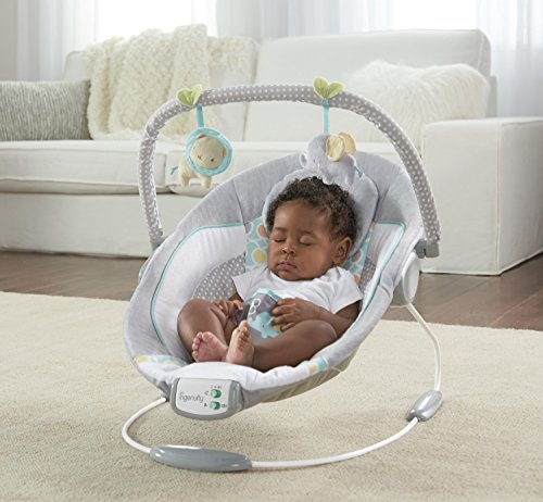 Ingenuity 11203 cradling Bouncer – Morrison Balancín, Gris