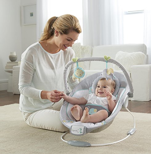 Ingenuity 11203 cradling Bouncer – Morrison Balancín, Gris