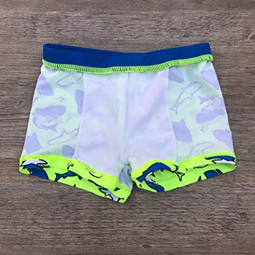 QinMM bañador Traje de baño Estampado de Tiburones bebé niños Ropa de Playa Pantalones Cortos (Verde, 24 Meses)