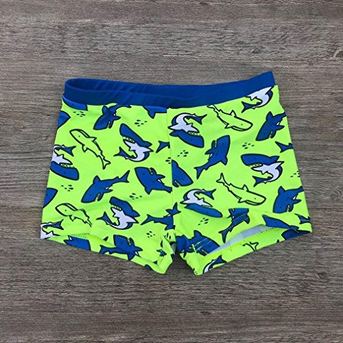 QinMM bañador Traje de baño Estampado de Tiburones bebé niños Ropa de Playa Pantalones Cortos (Verde, 24 Meses)