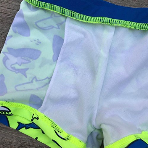 QinMM bañador Traje de baño Estampado de Tiburones bebé niños Ropa de Playa Pantalones Cortos (Verde, 24 Meses)