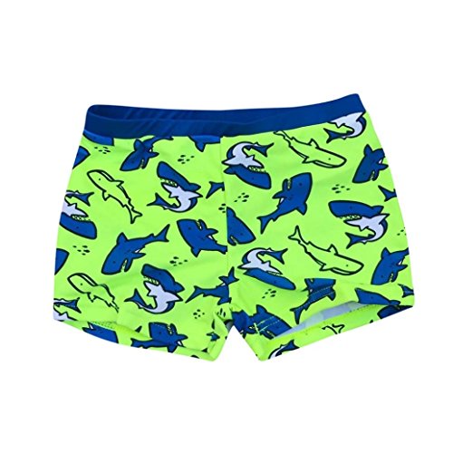 QinMM bañador Traje de baño Estampado de Tiburones bebé niños Ropa de Playa Pantalones Cortos (Verde, 24 Meses)