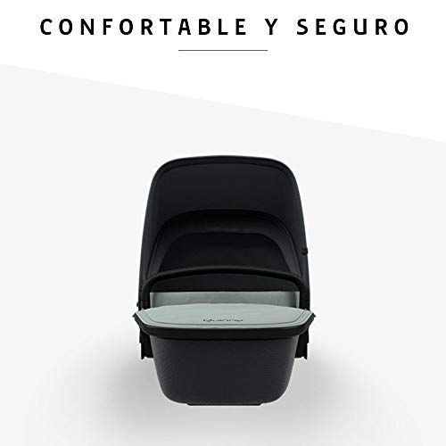 Quinny LUX - Capazo ultraligero para Zapp Flex Plus, Zapp Flex, Zapp Xpress, apto desde el nacimiento, color gris y grafito