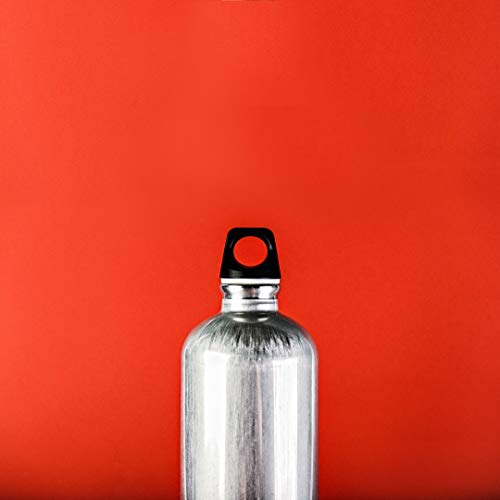 SIGG Traveller Alu Botella cantimplora (1 L), botella con tapa hermética libre de sustancias nocivas, botella de aluminio ligera