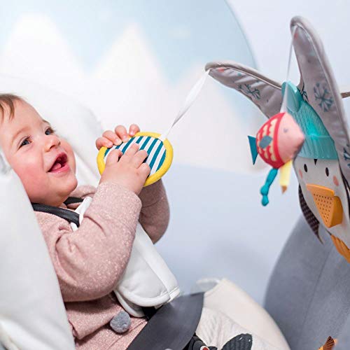 Taf Toys Penguin Play & Kick - Juguete de coche, unisex