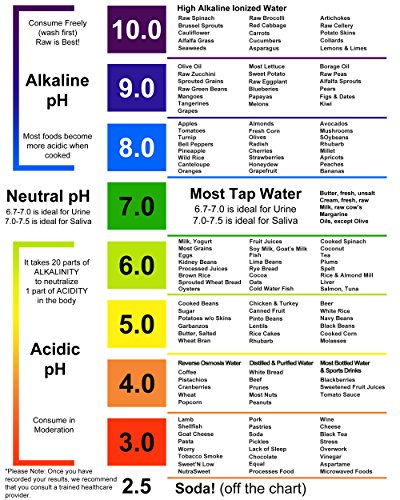 Tiras de prueba de pH para probar niveles alcalinos y ácidos en el cuerpo. Rastree y controle su nivel de pH usando saliva y orina. Obtenga resultados muy precisos en segundos. 125 tiras por botella