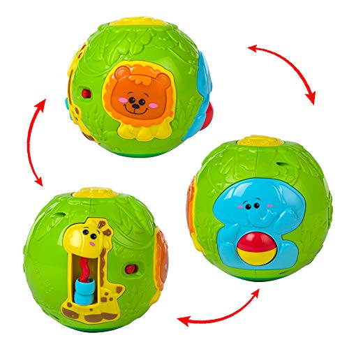 winfun - Bola de animales infantil con luz y sonido (44527)