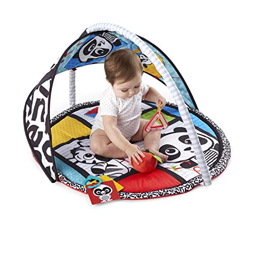 Baby Einstein, Bold New World™ Gimnasio de actividades Blanco y Negro