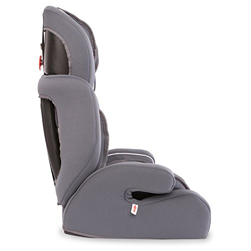 KIDUKU® Silla de coche, crece con el niño, 9 kg-36 kg (1-12 años), Grupo 1/2/3 (Gris/Rosa)