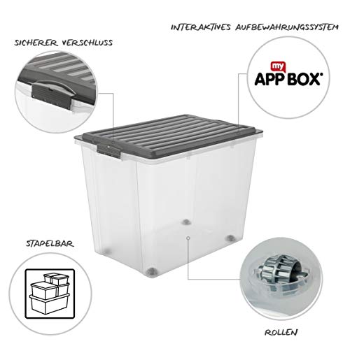 Rotho – Caja para Guardar Compact Transparente con Tapa, plástico, Transparente y Gris, A3 / 70 l