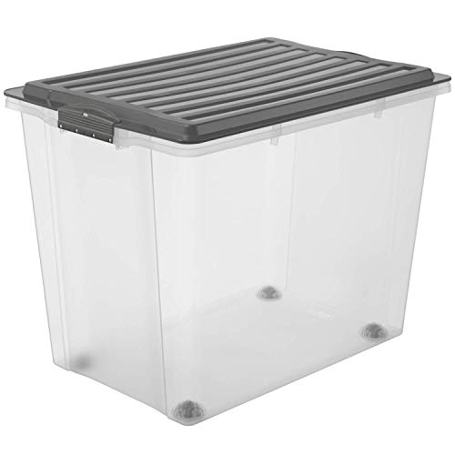 Rotho – Caja para Guardar Compact Transparente con Tapa, plástico, Transparente y Gris, A3 / 70 l