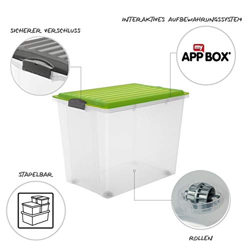 Rotho – Caja para Guardar Compact Transparente con Tapa, plástico, Transparente y Verde, A3 / 70 l