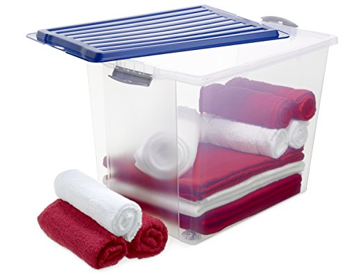 Rotho – Caja para Guardar Compact Transparente con Tapa, plástico, Transparente y Verde, A3 / 70 l