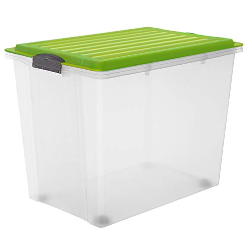 Rotho – Caja para Guardar Compact Transparente con Tapa, plástico, Transparente y Verde, A3 / 70 l