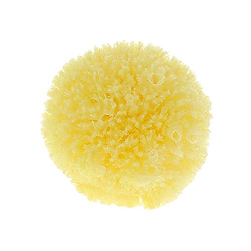 The Dida World Bath Bubbles - Pack 2 esponjas naturales, cepillo de madera