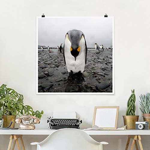 Bilderwelten Poster Impresión Gallery Print Penguin Cuadrado, Cuadro Mate 30 x 30cm