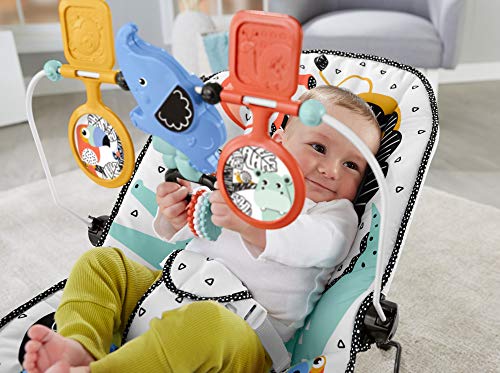 Fisher-Price Columpio para Bebé con Vibraciones y Barra con Juguetes, Mecedora para Bebé (Mattel GNR00)