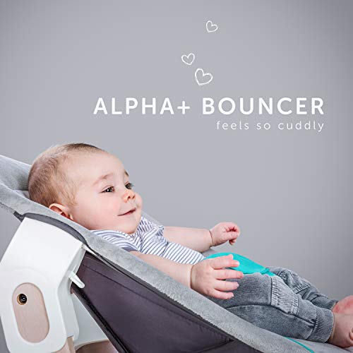 Hauck Alpha Bouncer - 2 en 1 para recién nacido, hamaca de tejido suave, combinable con trona de madera evolutiva Alpha+ y Beta+ de HAUCK, incluido reductor, mecedora para bebes, Gris (Hearts Grey)