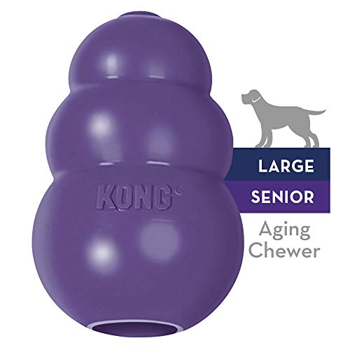 KONG Senior Morado Grande