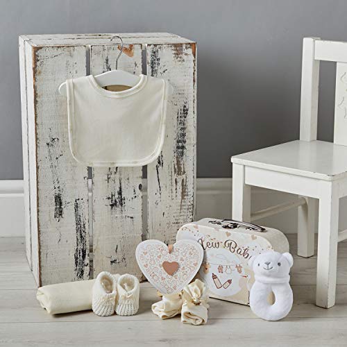 Baby Box Shop – Cesta para baby shower para bebé niña con regalos de bebé incluyendo un sonajero, placa colgante, babero, calcetines, guantes y sombrero