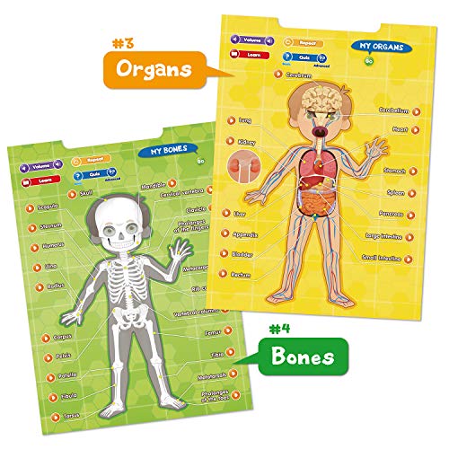 BEST LEARNING i-Poster mi Cuerpo - Juego Educativo Interactivo de anatomía Humana para Aprender Partes del Cuerpo, órganos, músculos y Huesos para niños de 5 a 12 años (Versión en inglés)