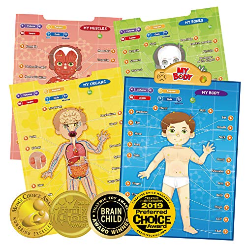 BEST LEARNING i-Poster mi Cuerpo - Juego Educativo Interactivo de anatomía Humana para Aprender Partes del Cuerpo, órganos, músculos y Huesos para niños de 5 a 12 años (Versión en inglés)