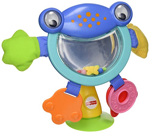 Fisher-Price - Activity, Ranita de Paseo (Mattel BFL66)