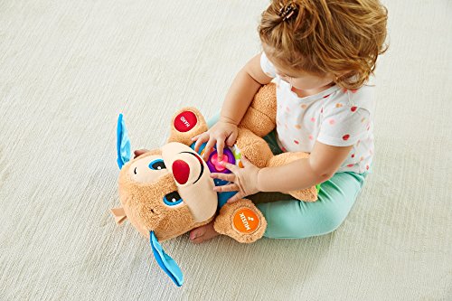 Fisher-Price Fisher-Price-FPM50 Figura de Perrito, Multicolor (FPM50)