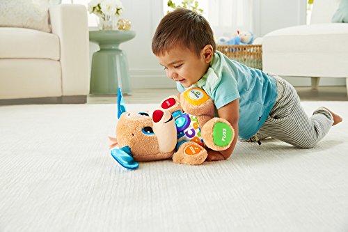 Fisher-Price Fisher-Price-FPM50 Figura de Perrito, Multicolor (FPM50)