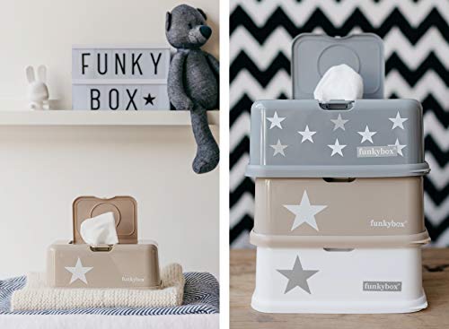 Funkybox FB36 - Dispensador Toallitas, Plata