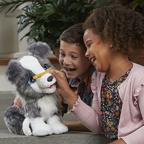 Furreal Friends Hasbro E0384175 - Ricky Mi Perrito Listo