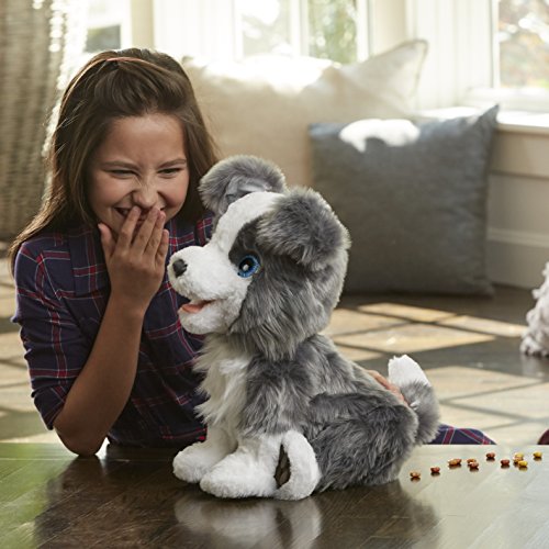 Furreal Friends Hasbro E0384175 - Ricky Mi Perrito Listo