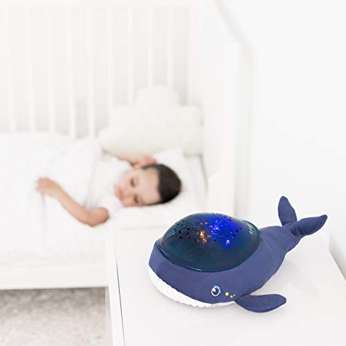 Pabobo – Kid Sleep – Aqua Dream – Baleine – Luz nocturna musical portátil y proyector dinámico Aqua para bebé y niño, color azul