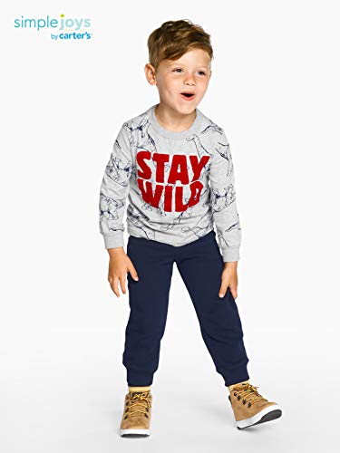 Simple Joys by Carter's - Camiseta - para bebé niño multicolor Dino/Monster/Dragon 5T