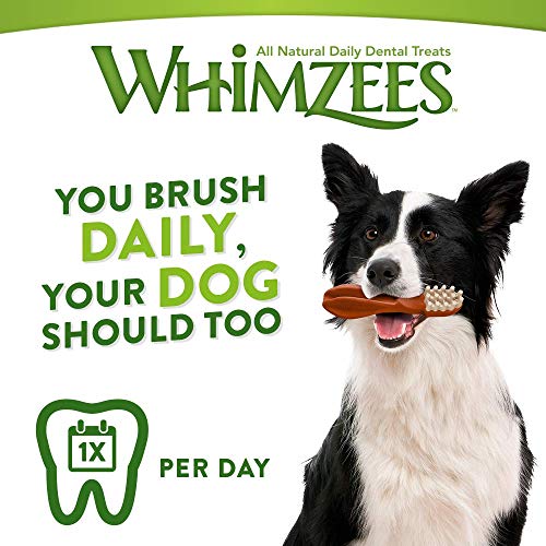 WHIMZEES Snack Cepillo Dental para Perro, XS - 48 Bolsa