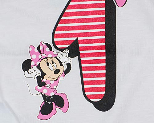 Body de cumpleaños para bebé, primera cumpleaños, camiseta para niña, disfraz de Minnie Mouse, 1 año, talla 80, 86, algodón, Disney, blanco, rosa, manga corta, diseño dulce Modelo 2 80 cm