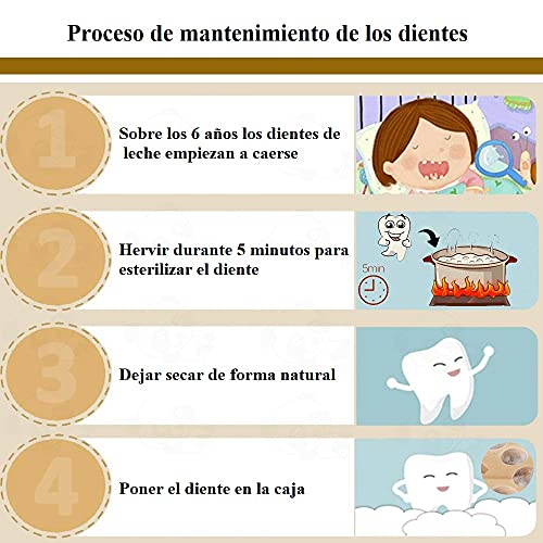 Caja para Guardar Dientes para Niños y Niñas en Español, El Ratoncito Pérez, Caja de Madera para Dientes de Leche, Recuerdo Infancia