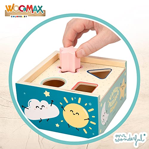 ColorBaby WOOMAX - Mr Wonderful-Caja Formas de Madera +12m - 5pcs (48803)