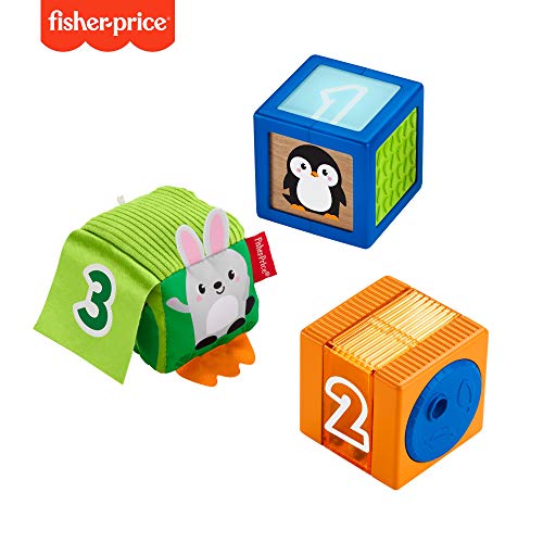 Fisher-Price GJW13 Stack & Discover Sensory Blocks