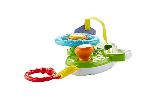 Fisher-Price- Volante Musical (Mattel DYW53)