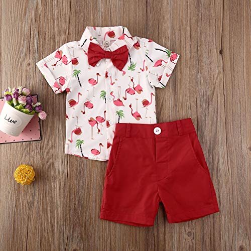 Geagodelia Conjunto Niños Bebés Verano Gentleman Camiseta de Manga Corta Pantalón Corto Ropa Bautizo de 2 Piezas (Flamenco-Rojo, 18-24 Meses)