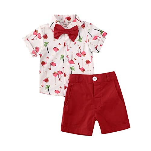 Geagodelia Conjunto Niños Bebés Verano Gentleman Camiseta de Manga Corta Pantalón Corto Ropa Bautizo de 2 Piezas (Flamenco-Rojo, 18-24 Meses)